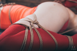 tied-yuno:  Just evening with ropes- new photo set for my patrons=) Watch all photos | Watch all gifs  | Watch all weekly videos | Support more projects  Bondage and photo @tied-yuno RnK Studio: patreon.com/yuno 
