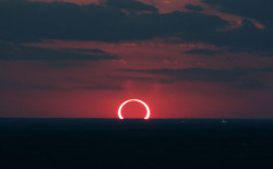sixpenceee:  The following are pictures of rare sunset solar eclipses. They are when an eclipse and a sunset occur at the same time. 