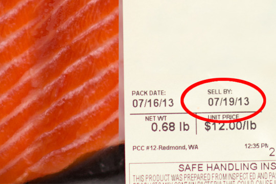 You packing salmon p