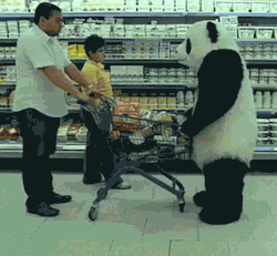funnyordie:  18 Grocery Store GIFs Worth – Wait for it – Checking Out All GIFs are 2-for-1 this week if you use your club card.