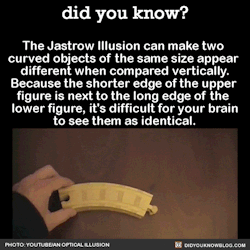 did-you-kno:  The Jastrow Illusion can make two  curved objects of the same size appear  different when compared vertically.  Because the shorter edge of the upper  figure is next to the long edge of the  lower figure, it’s difficult for your