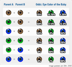 sexselector:  If this is true, then the arrogantly blue eyed should recognize that green is much rarer. I mean you should know that from looking around, but here’s this chart.I hate male eugenics so much.  That chart shows the probability of an offspring&