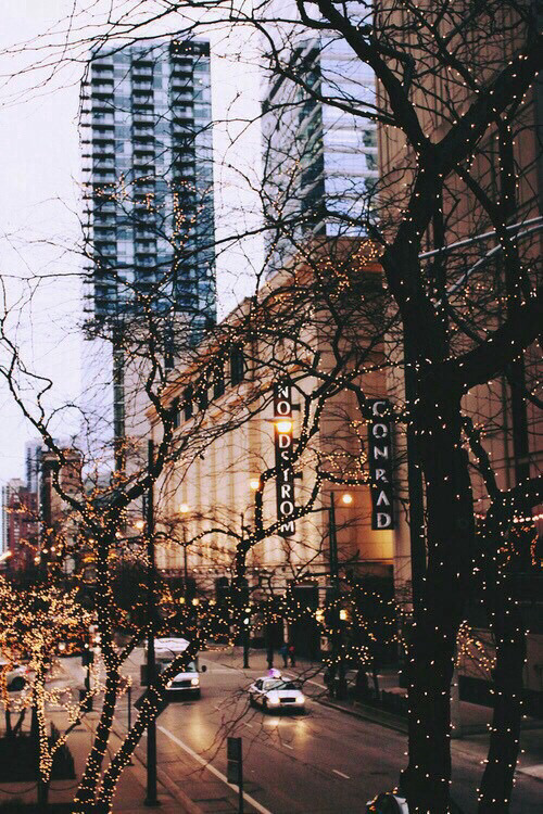 Christmas Winter Lights Light Cold Tree Tumblr Iphone Photo Follow