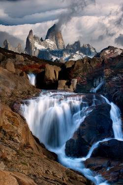 the-pink-mist:  torace:  Laguna Capri area, Patagonia (by Doug Solis)  Trying to go to my happy place….. 