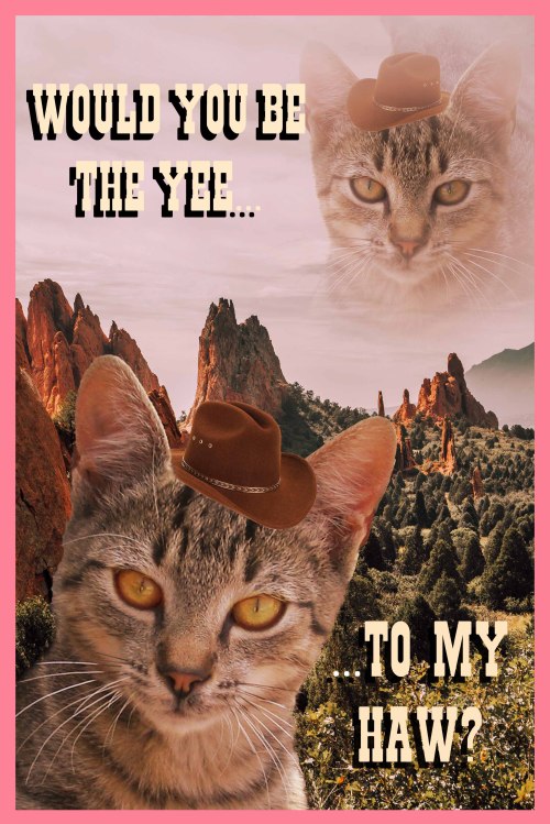 doorfus:miryjade:everyone please appreciate my valentine [Image description: Art featuring a brown tabby cat wearing a cowboy in the foreground; in the background, there is a desert landscape, and in the sky is a low-opacity portrait of the same cat.