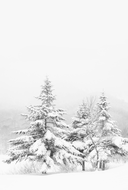 kyousen:  simple snow scene  (by Nobuhito Mochizuki) 