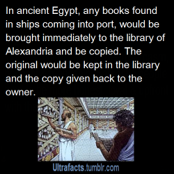 luciddreamerash:  nerdgirl-to-the-rescue:  ohmygil:  ultrafacts:aussietory: third-way-is-best-way:  tuxedoandex:  kvotheunkvothe:  ultrafacts:  Source For more facts follow Ultrafacts  EVERY TIME SOMEONE BRINGS UP THE LIBRARY OF ALEXANDRIA I GET SO ANGRY.