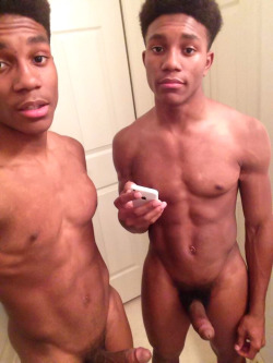 mrdeepdick:  Would You Be Down With A 3sum With Twins