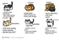 spiralnemesis:  My Roomate(who doesn’t have tumblr) Sent me this and said I am princess. I have never been more accurately portrayed