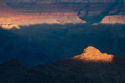 forrestmankins:  Changing light in the Grand Canyon.   Seen this in person at 5am sunrise 💖