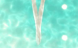 scarletail:    Michiru Kaioh   ♆ Sailor Moon Crystal S3 
