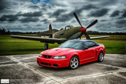 ford-mustang-generation:  King Cobra and 2004 Cobra in HDR by RoryMad Studios on Flickr.