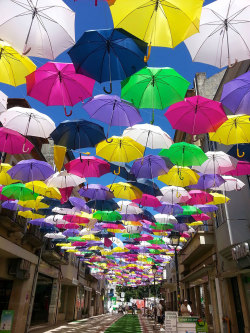 sixpenceee:  Every July, as part of Ágitagueda art festival, hundreds of umbrellas are hung over promenades in the streets of Águeda, a municipality in Portugal. The beautiful tradition started only 3 years ago, but has already earned world fame for