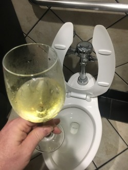 ideas4drmgirl69:  pottypixi:  ideas4drmgirl69:Crystal at a chain restaurant bar complained she didn’t like the wine so she was given a replacement from the men’s room which she finished like the thirsty slut she is. She said she was sure that one