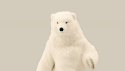 caseylalonde:  oceanmaster:  Protect Kyary Pamyu Pamyu&rsquo;s Polar Bear friend at all costs. Tumblr’s GIF upload is actually behaving for once, what the fuck  Husbear 