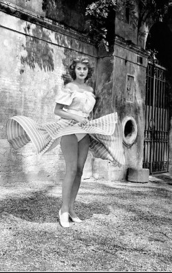 theniftyfifties:Sophia Loren