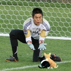 volcainist: Goalkeepers’ balls get photoshopped into cats.