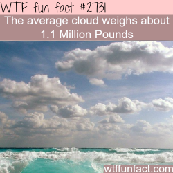 wtf-fun-factss:  The average cloud weight - WTF fun facts