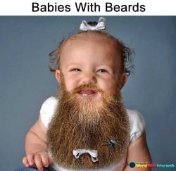 wwinterweb:  Babies with Beards (see 5 more) 