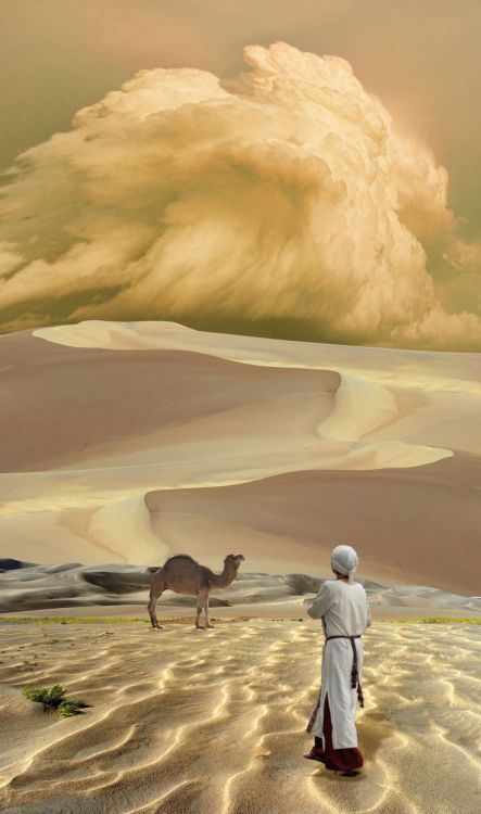 Sahara sands