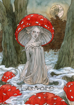 feather-haired:  Fly Agaric Faerie by Liga Klavina 