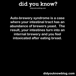 did-you-kno:  Auto-brewery syndrome is a case where your intestinal tract has an abundance of brewers yeast.  The result, your intestines turn into an internal brewery and you feel intoxicated after eating bread. Source