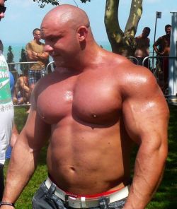 jimbibearfan:  justbulls: Massive Bull  I like big bald sweaty off-season Hungarian bodybuilders but that’s just me……..