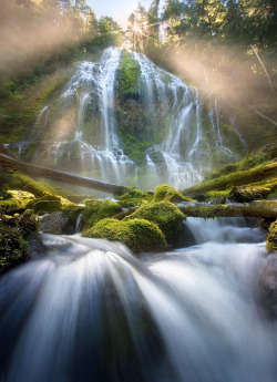 travelgurus:                        Sunbeam Falls  by Marc Adamus (Patagonia)   Patagonia is located at the southern end of South America, shared by Argentina and Chile .               Travel Gurus - Follow for more Nature Photographies!