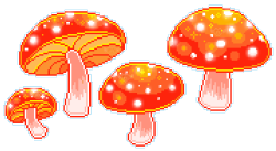 pixelins:i will never not be impressed by cool looking mushrooms 