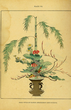 wapiti3:  The floral art of Japan : being a second and revised edition of the flowers of Japan and the art of floral arrangement / by Josiah Conder. With illustrations by Japanese artists. on Flickr. Publication info Tokio :Kelly and Walsh, Ltd.,1899.