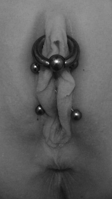pussymodsgaloreA triangle piercing with a heavy gauge ring. (The triangle goes deep under the clit, in contrast to the much more common HCH which is shallow, going through the clit hood above the clit.) Additionally she has pierced inner labia with two