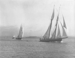 lazyjacks:  Schooner racing off Georges Island, Halifax Harbour, 1921W.R. MacAskill, 1921Nova Scotia Archives    This image gives a great impression of speed.