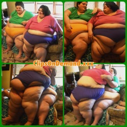 #SSBBWS Miss GG and Lexi #SQUASHING #Smothering #SSBBW #Facesitting #HugeBelly #BigBelly #Fat #Fatty #Blubber #Cellulite #HeavySet #FullFigured #PlusSize #Curvy #Fluffy #BellyWorship #FatAdmirer #FA