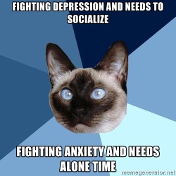 chronic-illness-cat:  [picture of a cross-eyed Siamese cat’s head against a gyronny (a triangle-sectioned background) with six shades of blue. Top line of text reads: Fighting depression and needs to socialise || Bottom line of text reads: Fighting