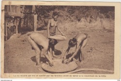 Via DelcampeLe riz récolté est trié et ventilé par les femmes avant de servir a la nourriture de la tribu