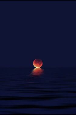 webpill:  Quando la luna bacia il mare…