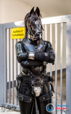 nighty-horse:  During Folsom Europe 2015, I have been able to test out some “Stallion proof” restraints. Think they fit quite well :) Picture by Aeringi  - Check out his website at “www.stmfoto.de” (still in development so you might need to look