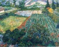 vincentvangogh-art:  Field with Poppies, 1889 Vincent van Gogh