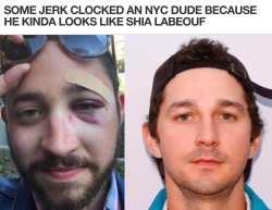 veryangryfeminist:  grampasimpson:  some dude got decked for looking like shia labeouf  and so shia labeouf sent him the best voicemail of all time  he’d come bring the man soup I fucking love him   awwww bbs