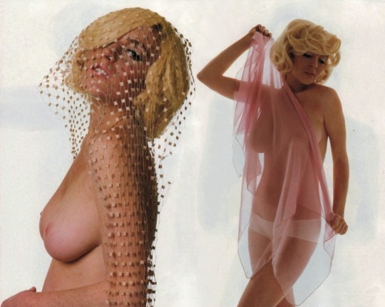Marilyn monroe hair