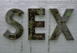 Sex And Love.