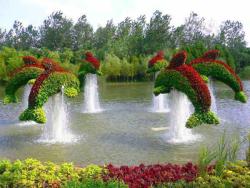 All together now (topiary fountain, China)