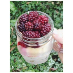 #throwback inspiration for prepping school breakfast {vanilla flax overnight oats topped with peanut butter, bananas and blackberries} 🌻