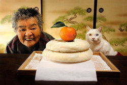 valmonella:   &ldquo;For the last 13 years Japanese photographer Miyoko Ihara has been taking pictures of her grandma, Misao, to commemorate her life. 9 years ago, 88-year-old Misao found a stray odd-eyed cat in her shed: she called it Fukumaru, hoping