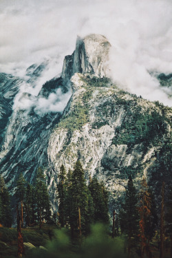 banshy:  Yosemite on Film // Blaine Nadeau  