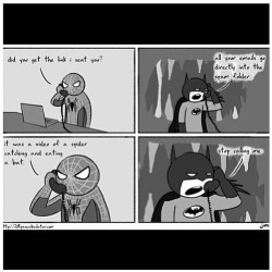 #spiderman #batman #marvel #marvelcomics #dccomics