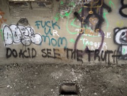 ravebae:  Do acid, see the truth  #fuck ur mom