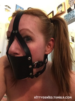 kittydenied:This one has a good sized ball gag on the inside, and fills my mouth nicely. Looking forward to having the D-Ring at the top being used as an anchor-point for an ass hook that hasn’t been used yet ;)The smell of leather in combination