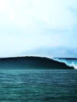 surfsouthafrica:  Empty wave mind surfing. Photo: Grégoire Gyselinck.