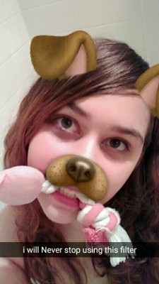 feydemure:  my pup selfies are so unappreciated  (don’t remove my caption or be weird etc etc) 